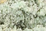 Green Prehnite Crystal Cluster - Morocco #80695-1